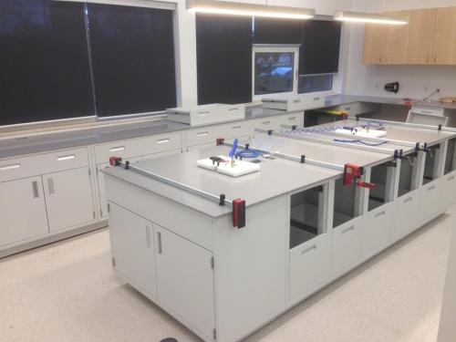 Flora Krion Lab Countertop