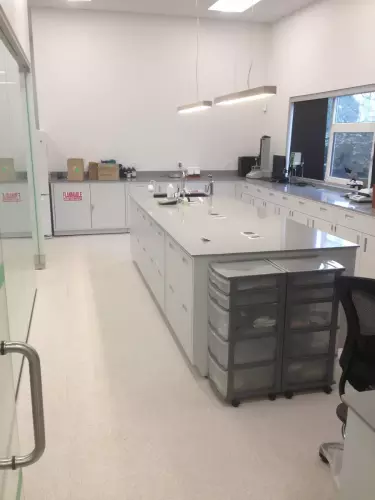 KRION Lab Island - Flora