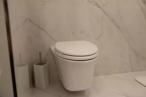 toto-wall-mount-toilet-seat result